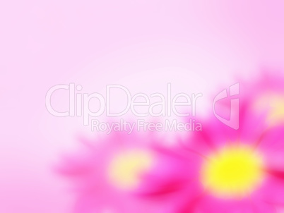 abstract flowers pink background