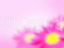 abstract flowers pink background