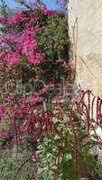 traditional greece architecture in porto castello on santorini