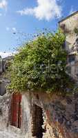 traditional greece village pyrgos on santorini