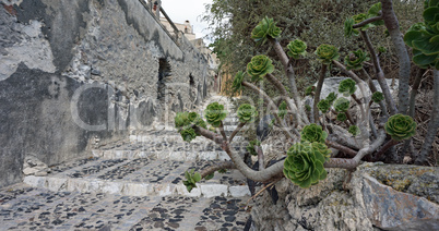 traditional greece village pyrgos on santorini