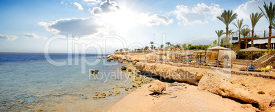 Coral reefs on beach