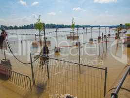 River Rhine Flood in Mainz