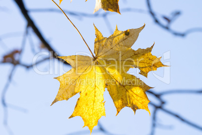 Herbststimmung