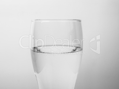 Black and white Glass of water