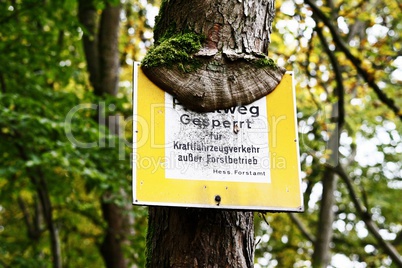 Schild am Baum