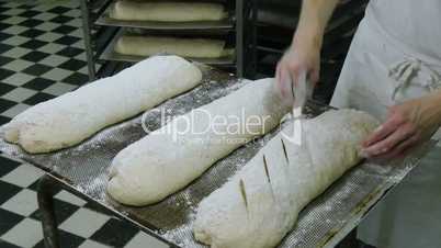 german baker prepare and cut huge bread dough 11693