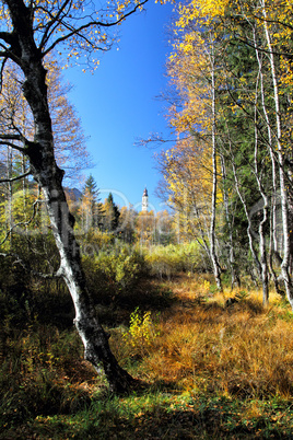 Moorlandschaft bei Pfronten