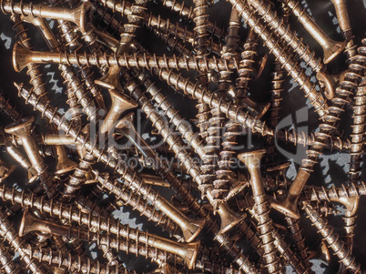 Wood screw