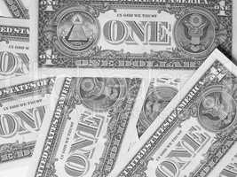 Black and white Dollar notes 1 Dollar