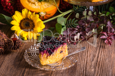 Autumn pumpkin cheesecake with cranberries