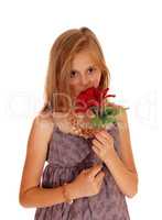 Lovely girl holding up a red roses.