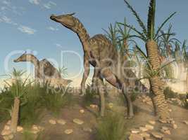Saurolophus dinosaurs - 3D render