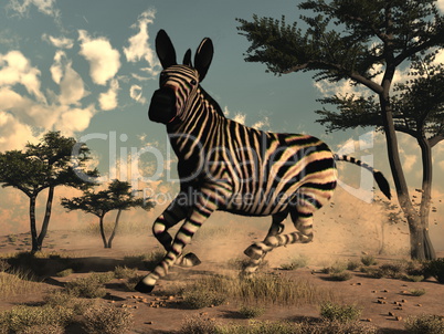 Zebra running - 3D render