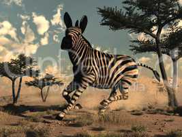 Zebra running - 3D render