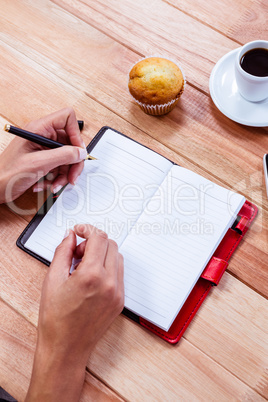 Overhead of feminine hands writing on agenda