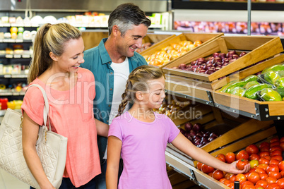 Young family doing some shopping