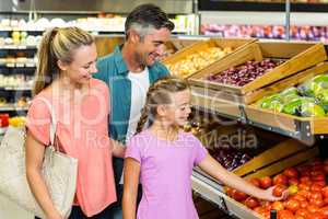 Young family doing some shopping