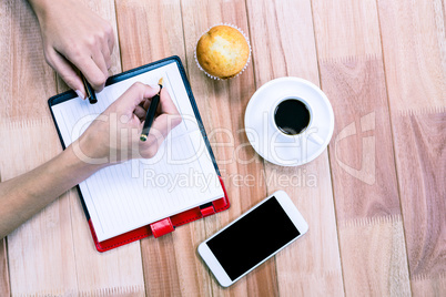 Overhead of feminine hands writing on agenda