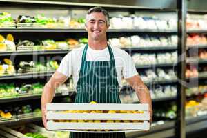 Smiling worker carrying vegetables box