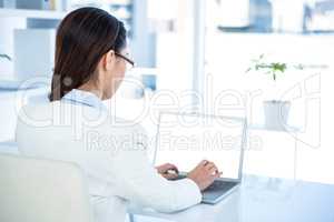 Rear view of businesswoman using laptop