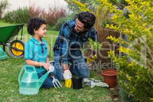 Smiling father and son gardening