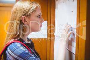 Pretty student looking at notice-board