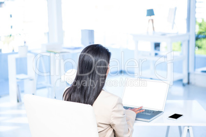 Rear view of businesswoman using laptop