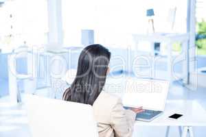 Rear view of businesswoman using laptop