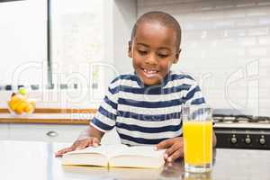 Smiling boy reading a book
