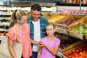 Young family doing some shopping