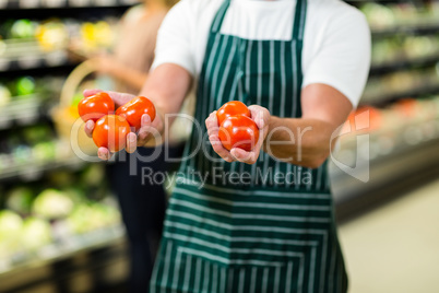 Mid section of worker showing vegetables