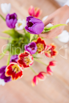 View of hand holing flower