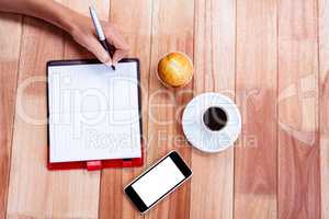 Overhead of feminine hands writing on agenda