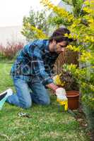 Handsome man gardening