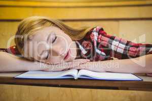 Pretty student sleeping on notebook