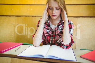 Focused student studying on notebook