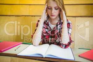 Focused student studying on notebook