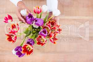 View of hands holing flower
