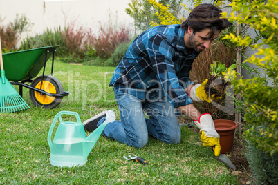 Handsome man gardening