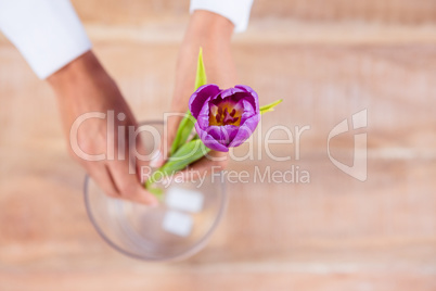 Woman putting a flower in a vase