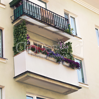 balcony with colorful flowers in pots