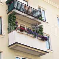 balcony with colorful flowers in pots