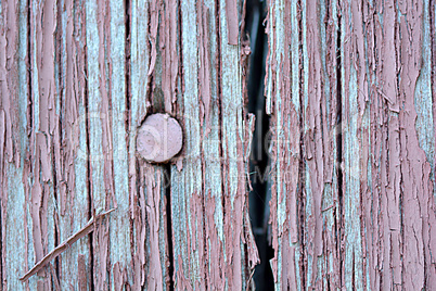 old wood plaque texture or background