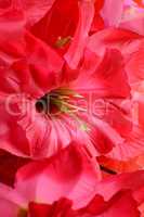 artificial flowers red handmade velor tissue background close up