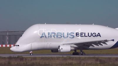 Beluga-Airbus