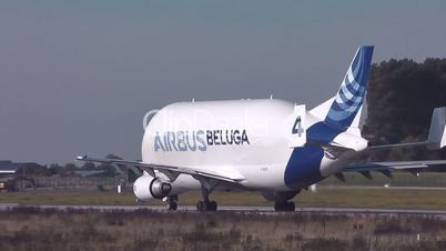 Beluga-Airbus