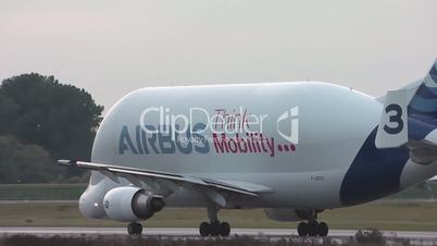 Beluga-Airbus