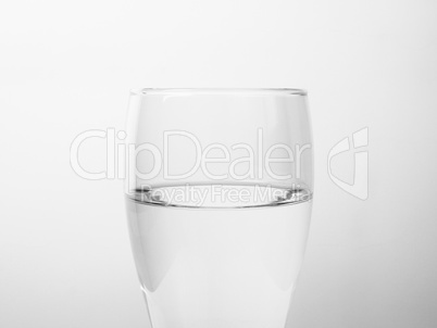 Black and white Glass of water