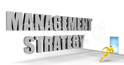 Management Strategy